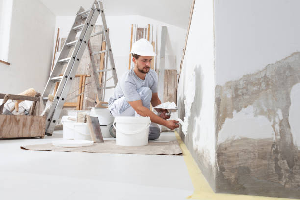 Reliable Haskell, TX Mold Removal Solutions