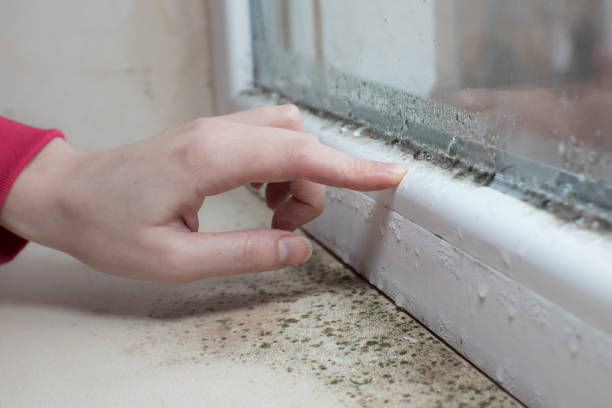 Best HVAC Mold Inspection and Cleaning  in Haskell, TX